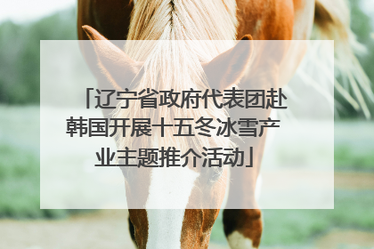 辽宁省政府代表团赴韩国开展十五冬冰雪产业主题推介活动