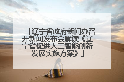 辽宁省政府新闻办召开新闻发布会解读《辽宁省促进人工智能创新发展实施方案》