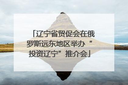 辽宁省贸促会在俄罗斯远东地区举办“投资辽宁”推介会