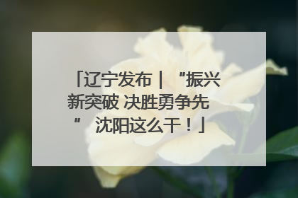 辽宁发布｜“振兴新突破 决胜勇争先” 沈阳这么干！