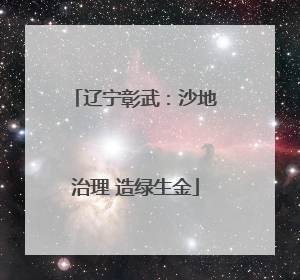 辽宁彰武：沙地治理 造绿生金