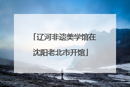 辽河非遗美学馆在沈阳老北市开馆