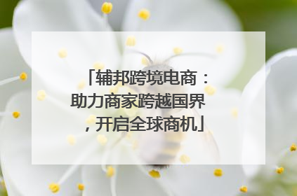 辅邦跨境电商：助力商家跨越国界，开启全球商机