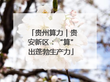 贵州算力｜贵安新区：“算”出蓬勃生产力