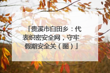 贵溪市白田乡：代表织密安全网，守牢假期安全关（图）