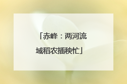 赤峰：两河流域稻农插秧忙