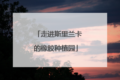走进斯里兰卡的橡胶种植园