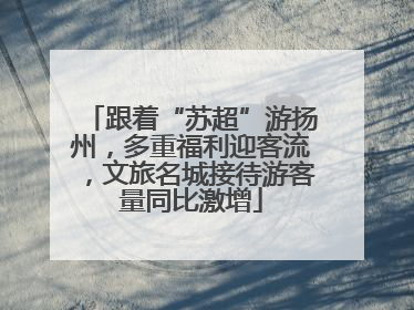 跟着“苏超”游扬州，多重福利迎客流，文旅名城接待游客量同比激增