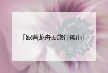 跟着龙舟去旅行佛山