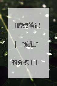 蹲点笔记｜“疯狂”的分拣工