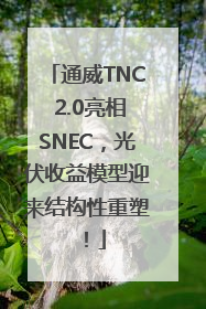 通威TNC 2.0亮相SNEC，光伏收益模型迎来结构性重塑！