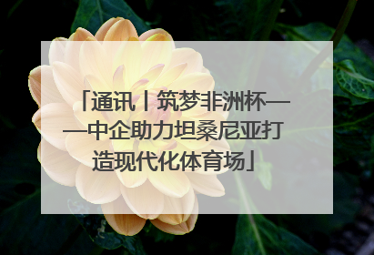 通讯丨筑梦非洲杯——中企助力坦桑尼亚打造现代化体育场