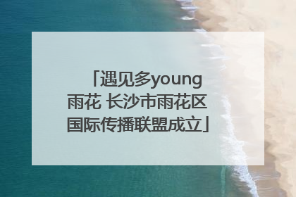 遇见多young雨花 长沙市雨花区国际传播联盟成立