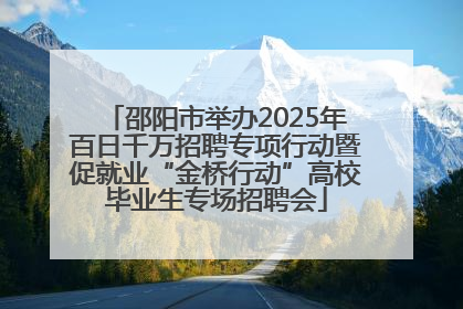邵阳市举办2025年百日千万招聘专项行动暨促就业“金桥行动”高校毕业生专场招聘会