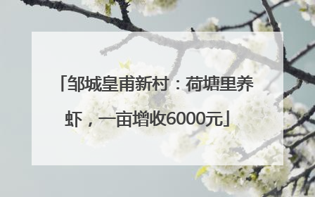 邹城皇甫新村：荷塘里养虾，一亩增收6000元