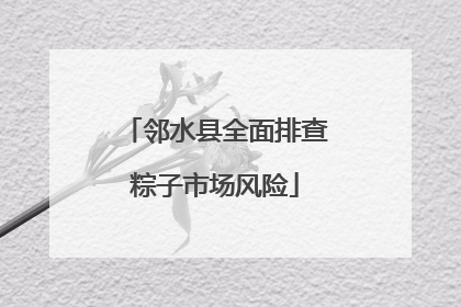 邻水县全面排查粽子市场风险