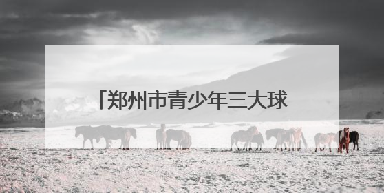 郑州市青少年三大球联赛排球比赛收官
