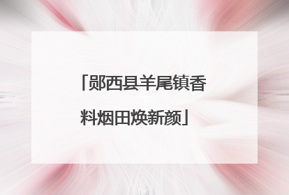 郧西县羊尾镇香料烟田焕新颜