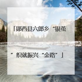 郧西县六郎乡“银茧”织就振兴“金路”