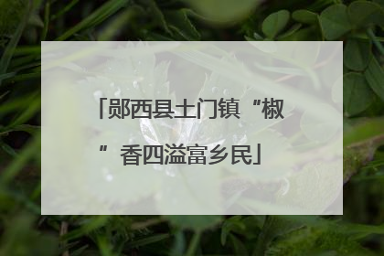 郧西县土门镇“椒”香四溢富乡民