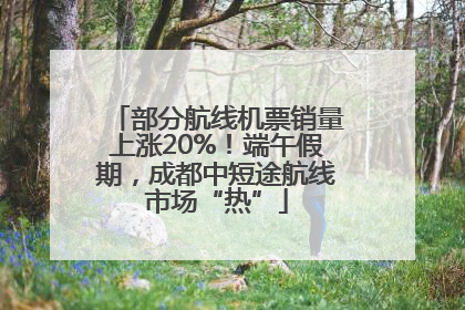 部分航线机票销量上涨20%！端午假期，成都中短途航线市场“热”