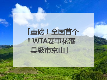 重磅！全国首个！WTA赛事花落县级市京山
