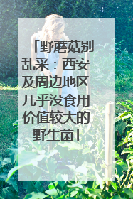 野蘑菇别乱采：西安及周边地区几乎没食用价值较大的野生菌