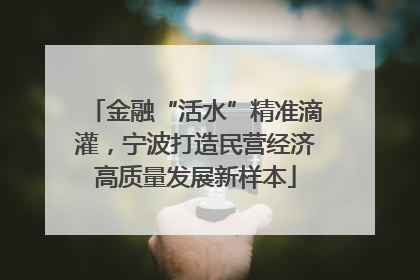 金融“活水”精准滴灌，宁波打造民营经济高质量发展新样本
