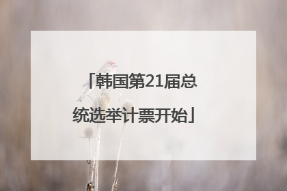 韩国第21届总统选举计票开始