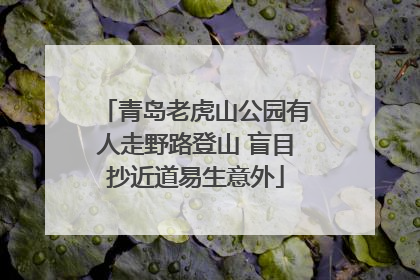 青岛老虎山公园有人走野路登山 盲目抄近道易生意外
