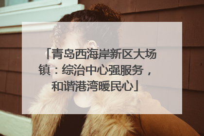 青岛西海岸新区大场镇：综治中心强服务，和谐港湾暖民心