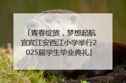 青春绽放，梦想起航 宜宾江安西江小学举行2025届学生毕业典礼