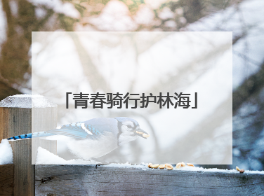 青春骑行护林海