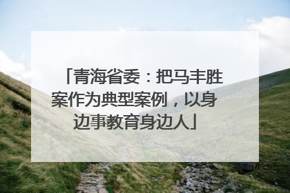 青海省委：把马丰胜案作为典型案例，以身边事教育身边人