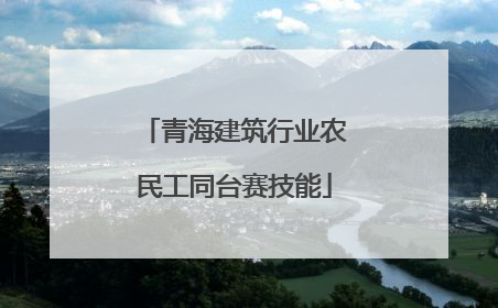 青海建筑行业农民工同台赛技能