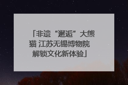 非遗“邂逅”大熊猫 江苏无锡博物院解锁文化新体验