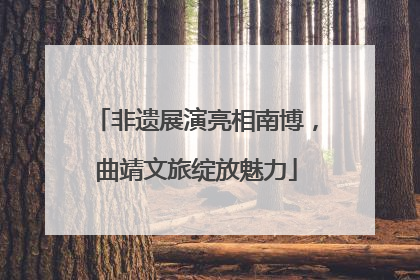 非遗展演亮相南博，曲靖文旅绽放魅力