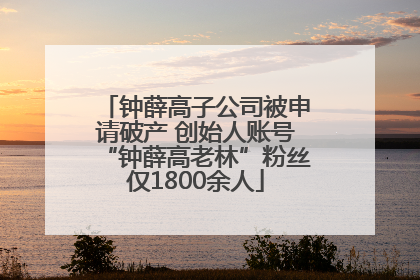 钟薛高子公司被申请破产 创始人账号“钟薛高老林”粉丝仅1800余人