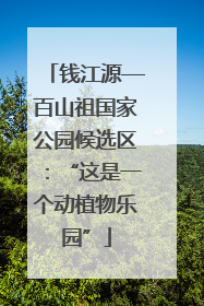钱江源—百山祖国家公园候选区：“这是一个动植物乐园”
