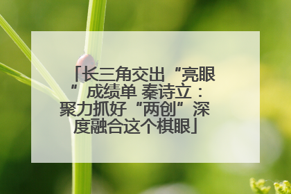 长三角交出“亮眼”成绩单 秦诗立：聚力抓好“两创”深度融合这个棋眼