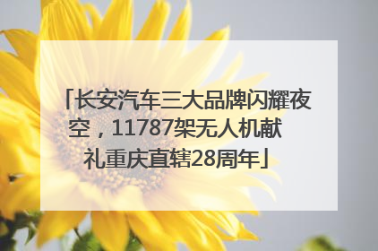 长安汽车三大品牌闪耀夜空，11787架无人机献礼重庆直辖28周年