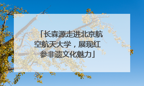 长森源走进北京航空航天大学，展现红参非遗文化魅力