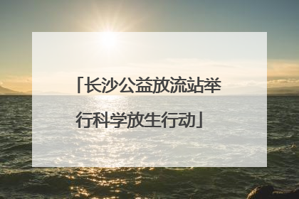 长沙公益放流站举行科学放生行动