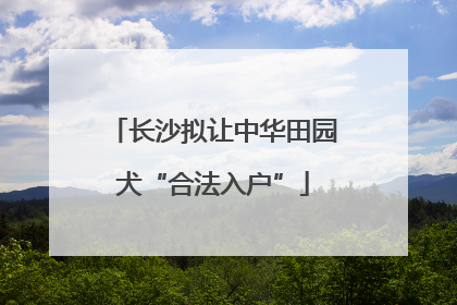 长沙拟让中华田园犬“合法入户”
