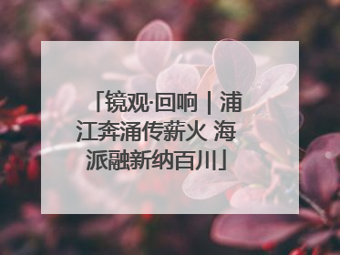 镜观·回响｜浦江奔涌传薪火 海派融新纳百川