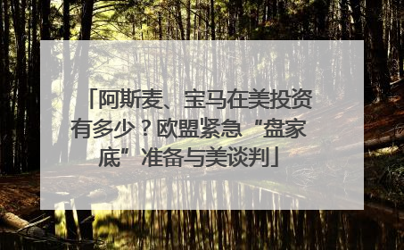 阿斯麦、宝马在美投资有多少？欧盟紧急“盘家底”准备与美谈判