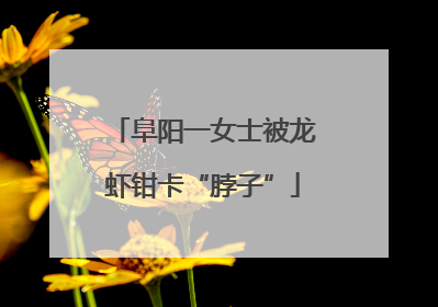 阜阳一女士被龙虾钳卡“脖子”