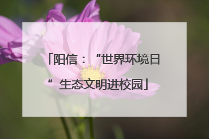 阳信：“世界环境日”生态文明进校园