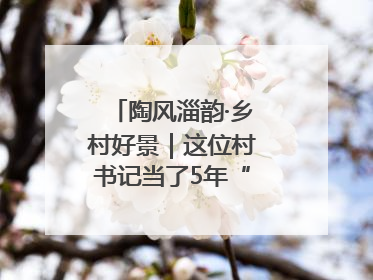 陶风淄韵·乡村好景｜这位村书记当了5年“首席证婚人”