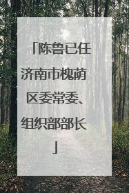 陈鲁已任济南市槐荫区委常委、组织部部长